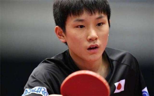 美媒：绿军本赛季本该沉寂，多指标力助他们成东部最大惊喜