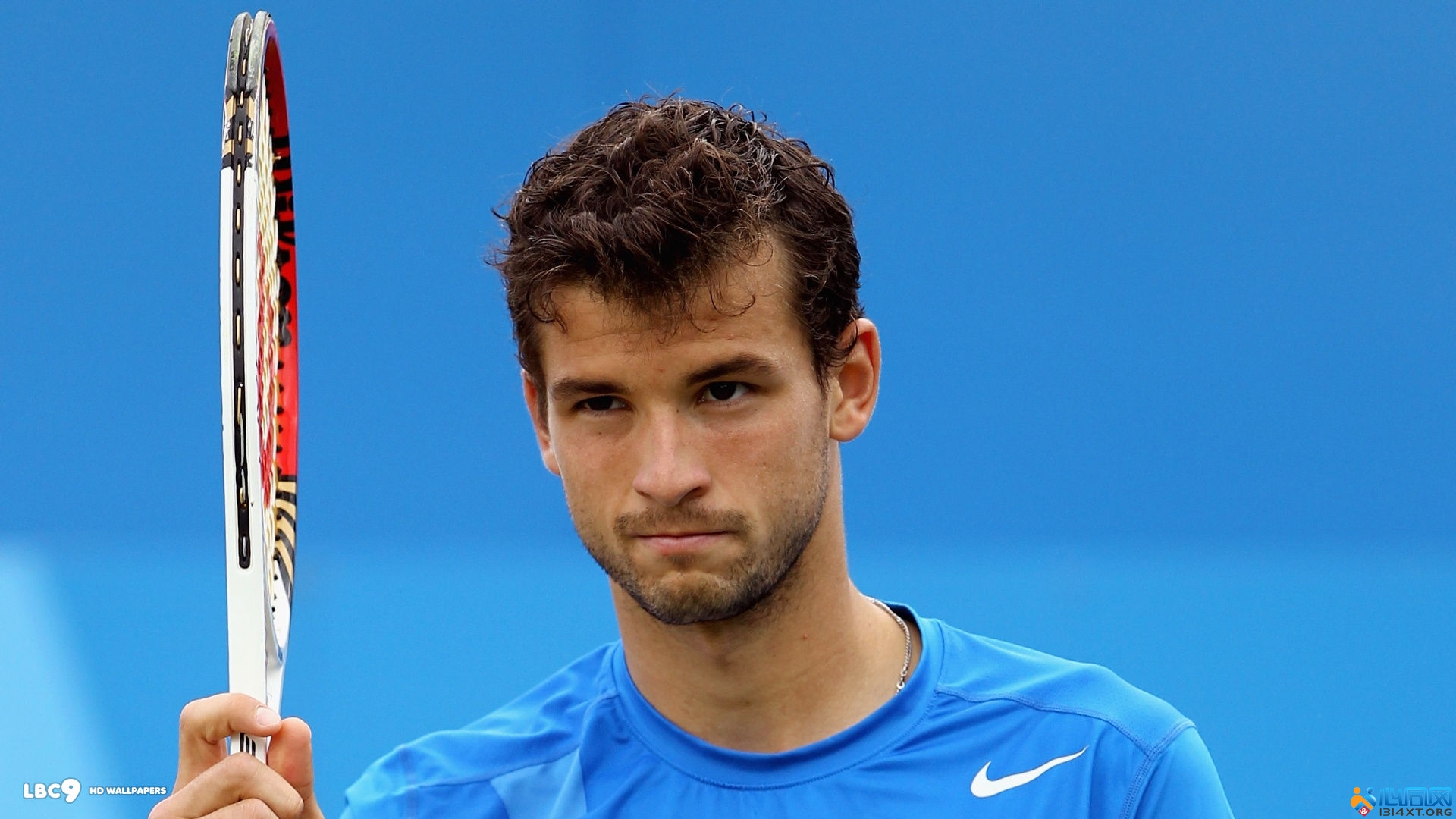 但在应对密 但在应对密