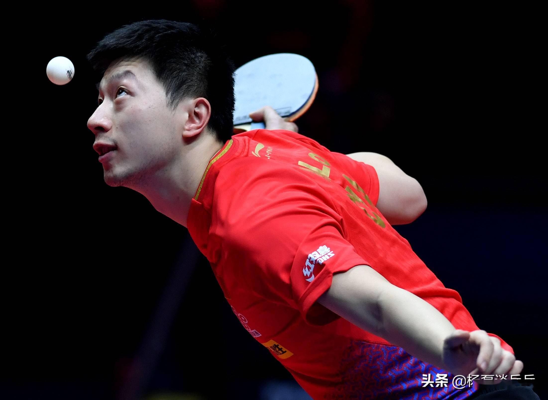 的巴洛特利 的巴洛特利